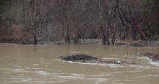 Предприятия замърсиха две реки в Пазарджишко