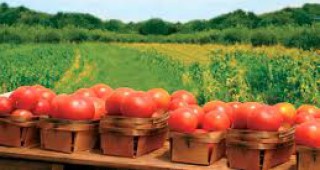Българска асоциация биопродукти подкрепя зърнопроизводителите