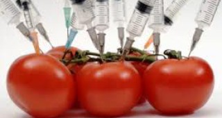 Европейският съд удари лобито против ГМО