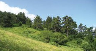 100 години от създаването си отбелязва Държавното горско стопанство в Плевен