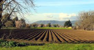 Агросекторът подготвя колективен иск срещу Фонд Земеделие