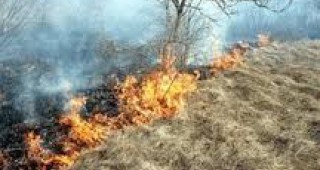Зачестиха пожарите в сухи треви в Добричко