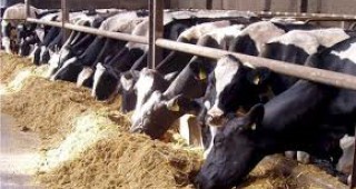 Експерти на МЗХ ще разясняват възможностите за преструктуриране на фермите в Рудозем