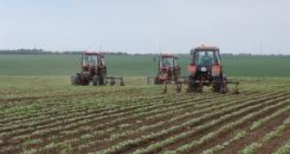 С близо 50% намаляха земеделските производители в Смолянско