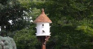 100 къщички за птици, поставени в училища в дунавски градове