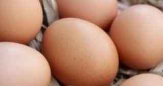 Експертната група за мониторинг ще следи цените на агнешкото месо, козунака и яйцата покрай Великден