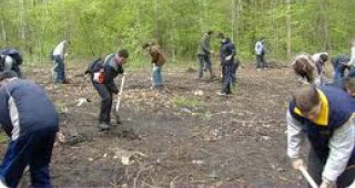 Залесяват фиданки в местността Дъбовете край Добрич
