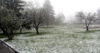 Априлски сняг в Североизточна България и Смолянско