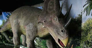 Останки от динозавър откриха в Колумбия
