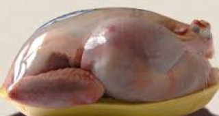 480 кг конфискувано пилешко месо за социалните домове в Добричка област