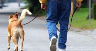 В София ще бъдат обозначени специални зони за разходка на кучета
