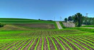 200 договора са подписани по мярката за млади фермери в област Плевен