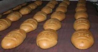 Хлебопроизводителите от Шуменско без интерес към стандарт 