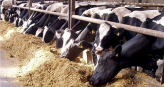 Инспектори от БАБХ проверяват животновъдните стопанства в Добричка област