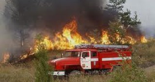 Повдигнаха обвинения на подпалвачите на пожарите край Банско