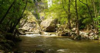 Коритото на река Ерма в Трънско не е почиствано от 40 години