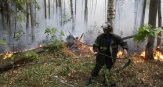 Обявиха пожароопасния сезон в горите в първите седем области на страната