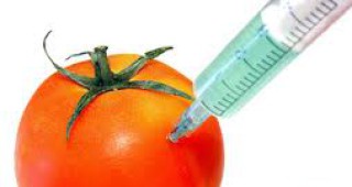 ГМО не отговарят на критериите за качество и разнообразие