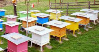 Усвоен е 94% от бюджета по пчеларската програма
