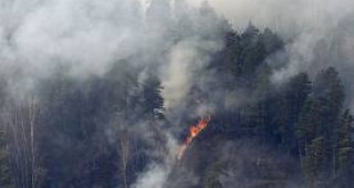 Над 300 природни пожара са били загасени през изминалото денонощие в Русия