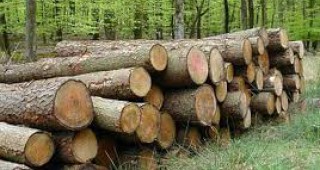 Забранен е добивът на дървесина в част от общините Средец и Малко Търново