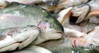 71 хил. лв. санкция за имитация на рибни продукти