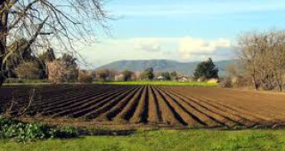 Земеделски имоти в кюстендилски села ще се продават на търг