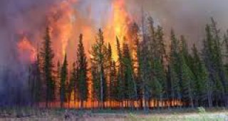 Броят на природните пожари, бушуващи на територията на Русия, продължава да се увеличава