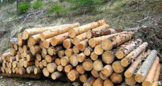 Дървесната биомаса може да стане най-новата борсово търгувана стока