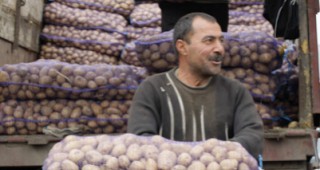Загубите от нарушаване на фитосанитарните стандарти за внос на египетски картофи в Русия може да надвишат 50 млрд. рубли