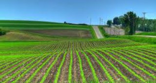 Цените на земеделска земя в Добричка област се запазват относително стабилни и постоянни