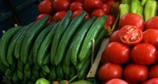 Отрицателни са пробите за ешерихия коли на пресни зеленчуци от ЕС у нас