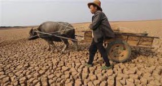 3,7 милиона хектара селскостопански земи са пострадали от сушата в Китай