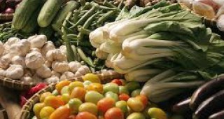 Русия забрани вноса на зеленчуци от Германия и Испания