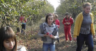 Близо 3 000 деца от 31 училища преминаха за една година през първата в България учебна биоферма