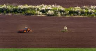 Финализирана е кампанията по засяване на царевица за зърно в Добричка област