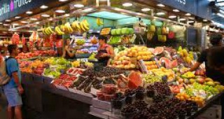 Почти в цяла Европа е спряна продажбата на плодове и зеленчуци от Испания