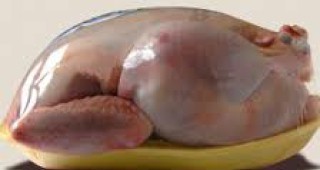 Агенцията по безопасност на храните обявява резултатите от проверките на пилешкото месо