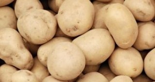 Картофите – традиция и бъдеще