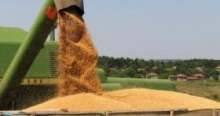 Държавният резерв купи още 20 000 тона пшеница