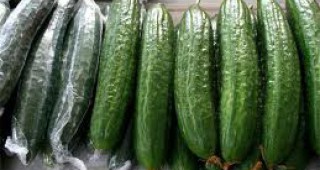 България също ще иска компенсации за загубите за производителите на краставици