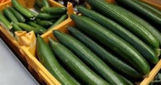 ОАЕ забрани вноса на краставици от четири европейски страни