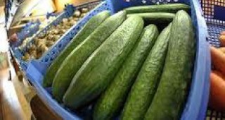 Русия ще даде разяснения на ЕС за забраната за внос на зеленчуци