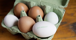 Министър Найденов се срещна с производители на яйца за засилване на контрола в сектора