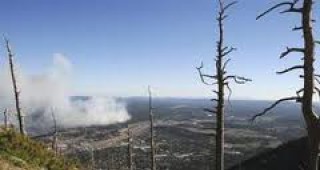 Над 100 000 хектара растителност са унищожени при горските пожари в Аризона