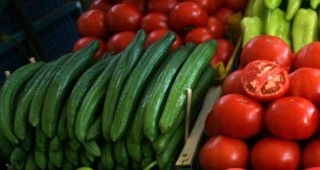 Испания ще поиска от Германия компенсации за щетите, причинени от твърденията за заразените испански зеленчуци