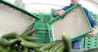 Фермерите от ЕС искат по-големи компенсации заради кризата със зеленчуците