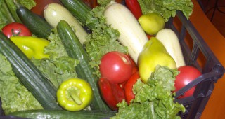 Министър Найденов обяви компенсациите и за другите зеленчуци