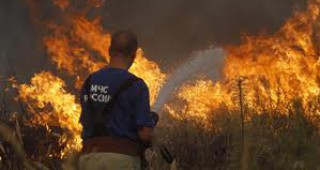 12 325 огнища на природни пожари са възникнали на територията на Русия