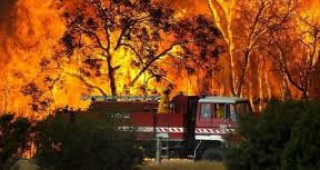 Намалял е броят на горските пожари, бушуващи на територията на Русия